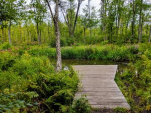 Meadowbrook Preserve Trail