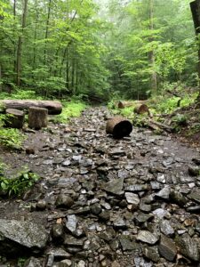 Sleeping Beauty Trail