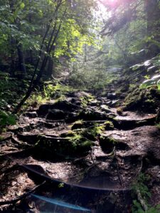 Buck Mountain Trail