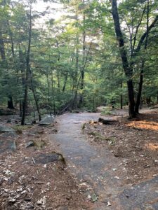 Prospect Mountain Trail