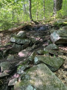 Cat Mountain Trail