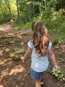 The Pinnacle Trail